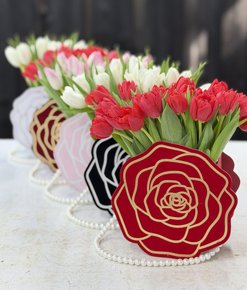 Tulip Chic - ����� ������� ���� ������