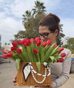 Tulip-Basket  ����� 40 �������