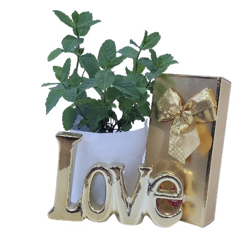 ���� LOVE �� ���� ����� �������