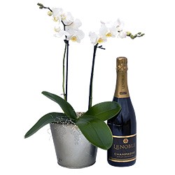 �������� ���� �� ������ CAVA