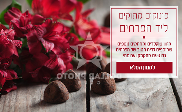 ���� ������ 2- �� ���� ������