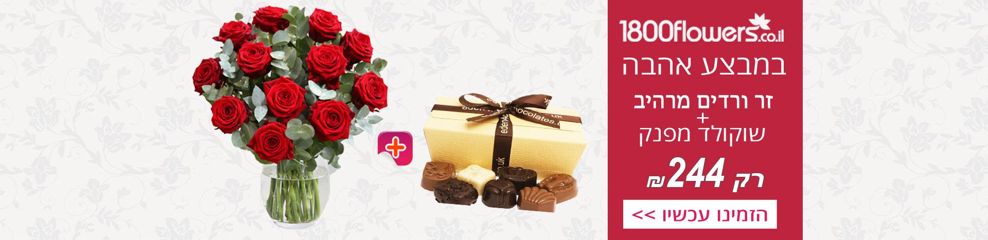 �����-��-�����-��-������-244