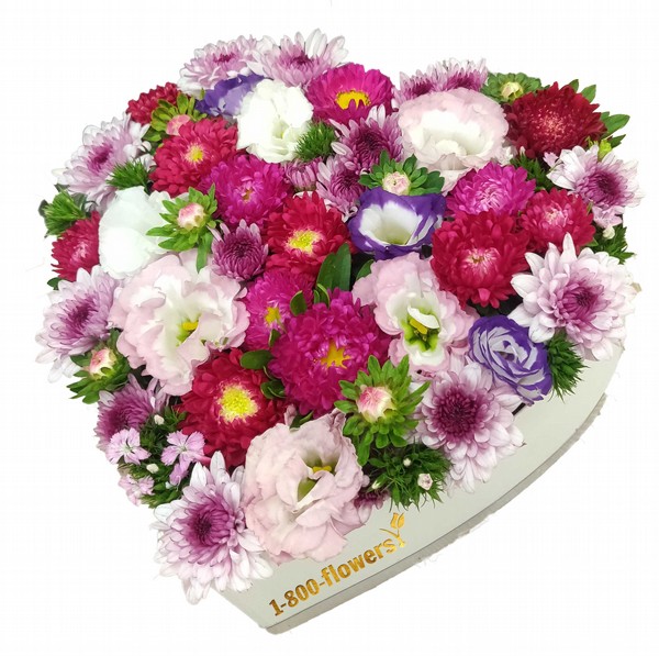 ����� �� ���� ����� Love Box