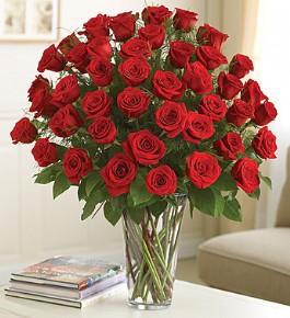 ����� ����� ������  **�� ����** 