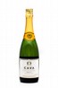  ������ CAVA